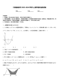 江西省高安市2023-2024学年九上数学期末监测试题含答案