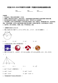 河北省2023-2024学年数学九年级第一学期期末质量跟踪监视模拟试题含答案