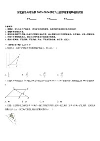 河北省沧州市沧县2023-2024学年九上数学期末调研模拟试题含答案