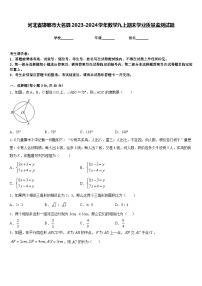 河北省邯郸市大名县2023-2024学年数学九上期末学业质量监测试题含答案