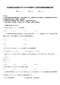 河北省衡水市故城县2023-2024学年数学九上期末质量跟踪监视模拟试题含答案