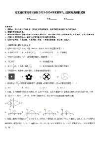 河北省石家庄市长安区2023-2024学年数学九上期末经典模拟试题含答案