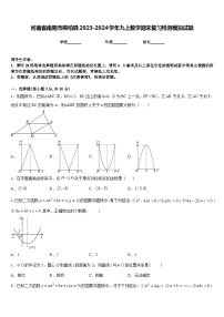 河南省南阳市桐柏县2023-2024学年九上数学期末复习检测模拟试题含答案