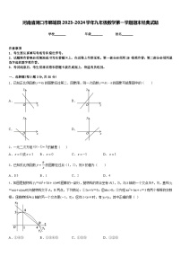 河南省周口市郸城县2023-2024学年九年级数学第一学期期末经典试题含答案