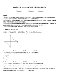 河南省宝丰市2023-2024学年九上数学期末检测试题含答案