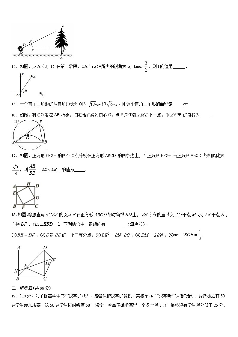 河南省封丘市2023-2024学年数学九上期末统考试题含答案03