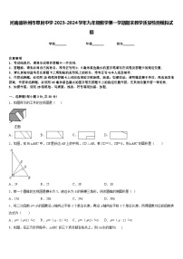 河南省林州市阜民中学2023-2024学年九年级数学第一学期期末教学质量检测模拟试题含答案