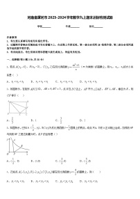 河南省漯河市2023-2024学年数学九上期末达标检测试题含答案