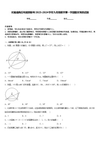 河南省商丘柘城县联考2023-2024学年九年级数学第一学期期末预测试题含答案