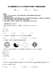 浙江湖州德清县2023-2024学年数学九年级第一学期期末监测试题含答案