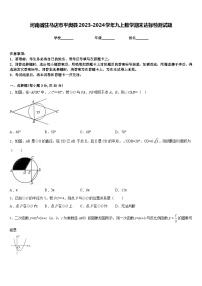 河南省驻马店市平舆县2023-2024学年九上数学期末达标检测试题含答案