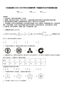 江苏省高淳区2023-2024学年九年级数学第一学期期末学业水平测试模拟试题含答案