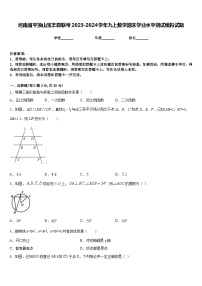 河南省平顶山宝丰县联考2023-2024学年九上数学期末学业水平测试模拟试题含答案