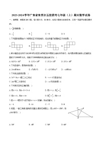 2023-2024学年广东省东莞市五校联考七年级（上）期末数学试卷（含解析）