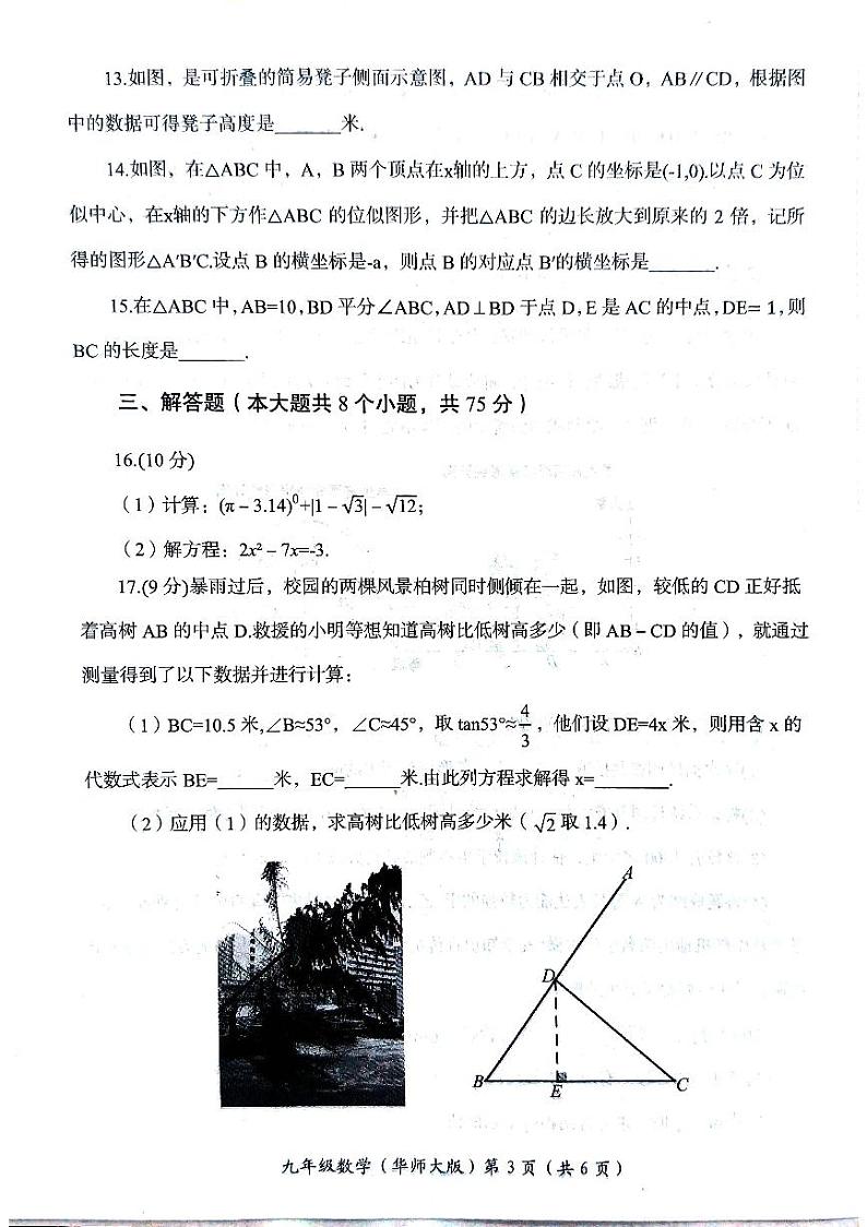 河南省洛阳市2023-2024学年九年级上学期1月期末数学试题03