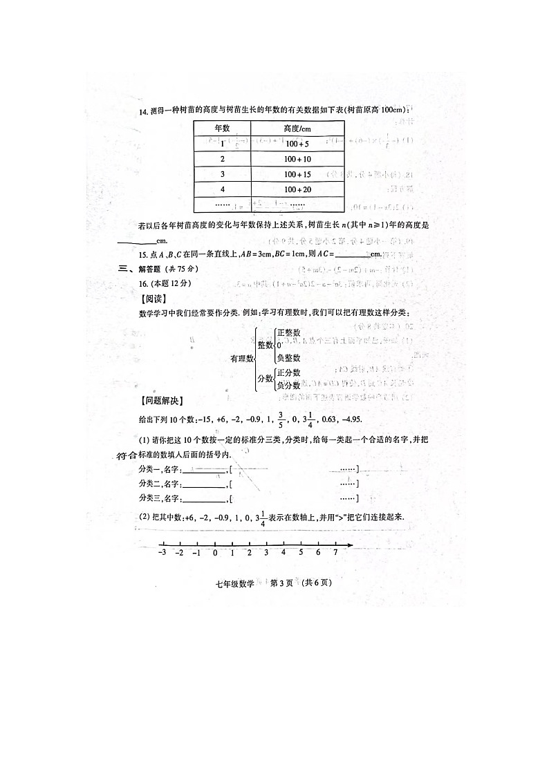 河南省濮阳市濮阳经济技术开发区2023-2024学年七年级上学期1月期末数学试题03