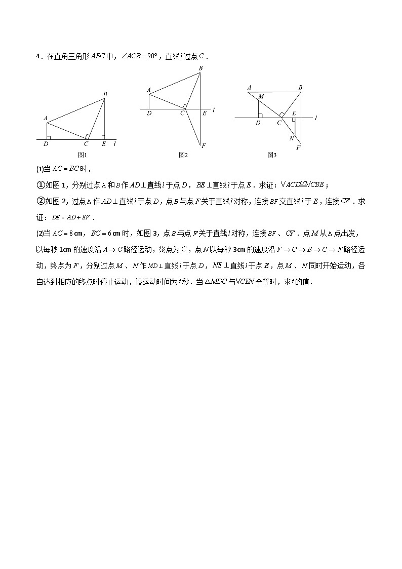 全等三角形的七大模型综合训练（二）（原卷版）第3页