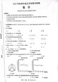 广西贵港市桂平市2023-2024学年九年级上学期期末数学试卷