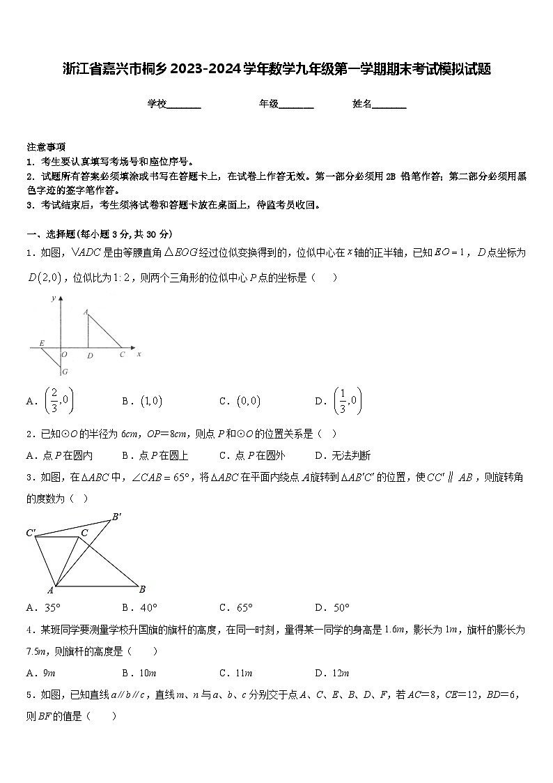 浙江省嘉兴市桐乡2023-2024学年数学九年级第一学期期末考试模拟试题含答案第1页