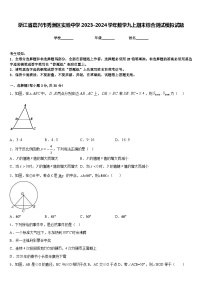 浙江省嘉兴市秀洲区实验中学2023-2024学年数学九上期末综合测试模拟试题含答案