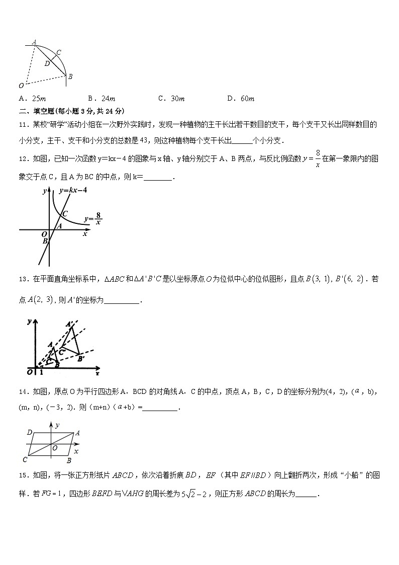 浙江省嘉兴市秀洲区实验中学2023-2024学年数学九上期末综合测试模拟试题含答案第3页