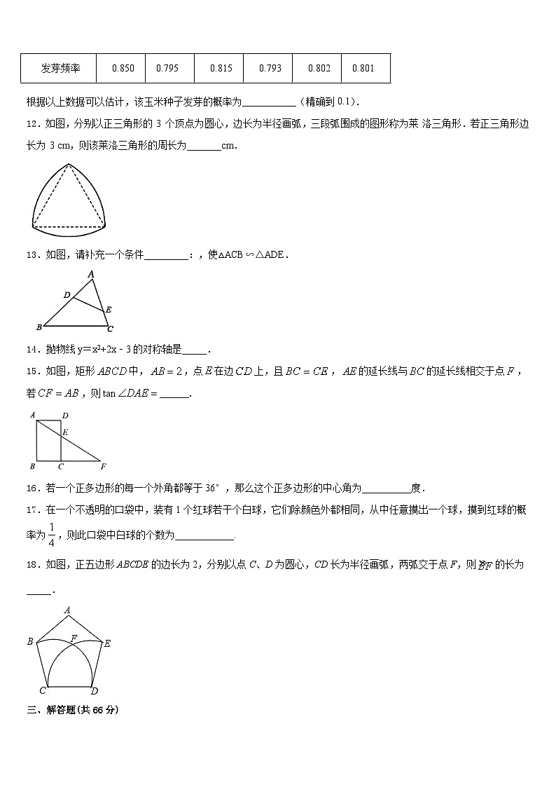 浙江省金华、丽水市2023-2024学年数学九年级第一学期期末检测试题含答案第3页