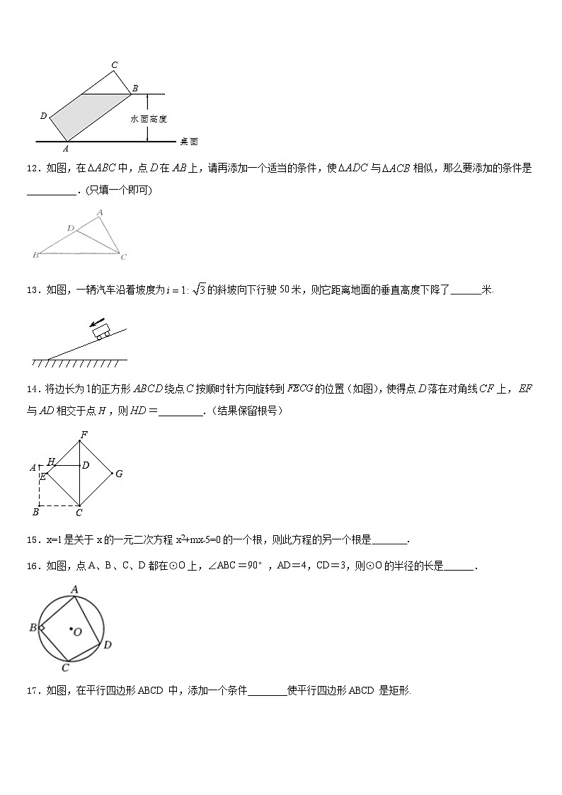 浙江省宁波市东恩中学2023-2024学年九年级数学第一学期期末综合测试试题含答案03