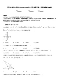 浙江省温州市乐清市2023-2024学年九年级数学第一学期期末联考试题含答案