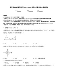 浙江省温岭市新河中学2023-2024学年九上数学期末监测试题含答案