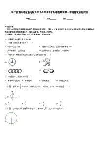 浙江省温州市龙港地区2023-2024学年九年级数学第一学期期末预测试题含答案