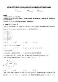 湖北省华中学师大附中2023-2024学年九上数学期末教学质量检测试题含答案