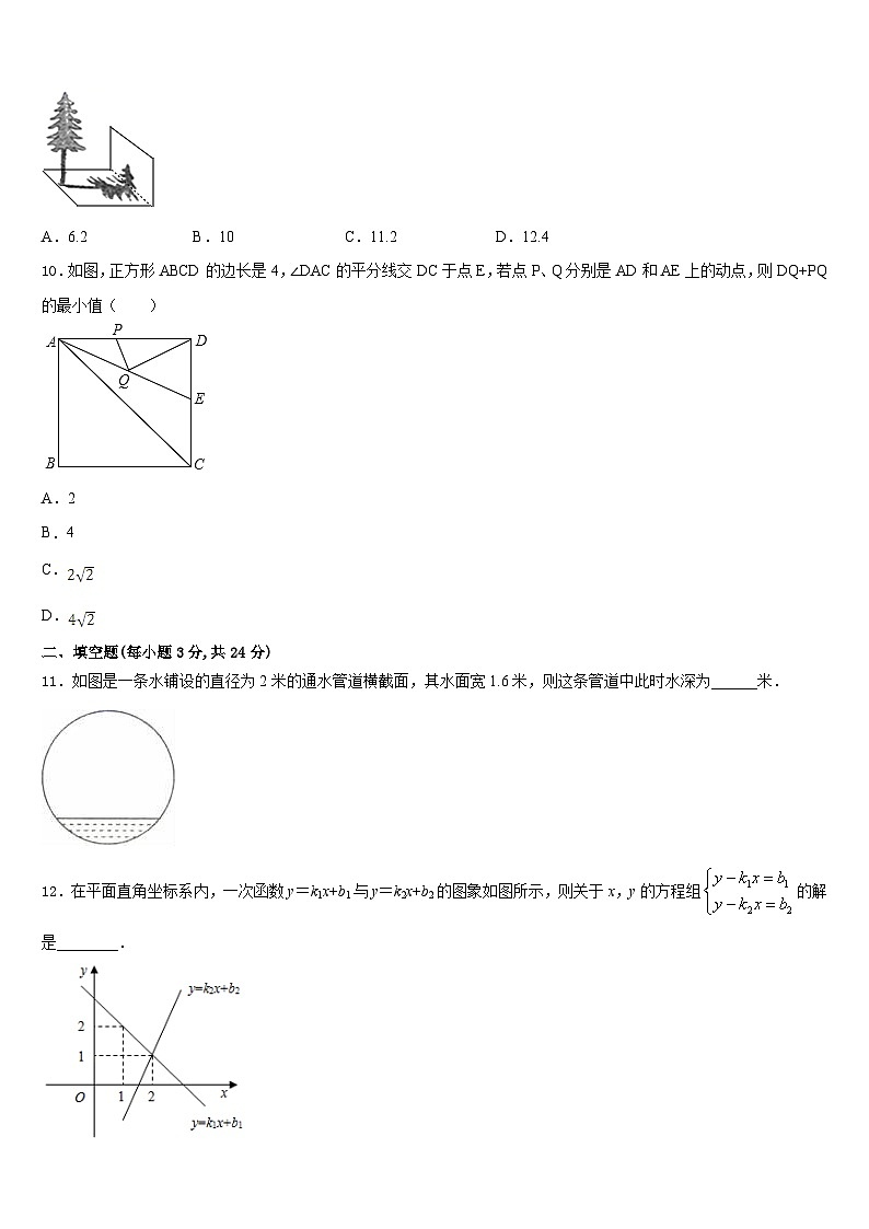 湖北省十堰市竹溪县2023-2024学年九年级数学第一学期期末预测试题含答案第3页