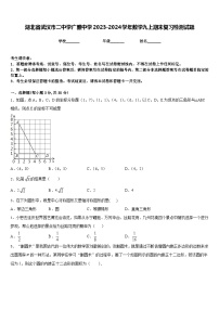 湖北省武汉市二中学广雅中学2023-2024学年数学九上期末复习检测试题含答案