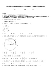 湖北省武汉市求新联盟联考2023-2024学年九上数学期末经典模拟试题含答案