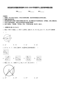 湖北省武汉武昌区四校联考2023-2024学年数学九上期末联考模拟试题含答案