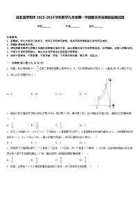 湖北省枣阳市2023-2024学年数学九年级第一学期期末质量跟踪监视试题含答案