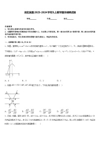 湖北宜昌2023-2024学年九上数学期末调研试题含答案