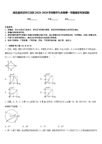 湖北省武汉市江汉区2023-2024学年数学九年级第一学期期末检测试题含答案