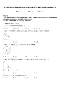 湖北省武汉市洪山高级中学2023-2024学年数学九年级第一学期期末调研模拟试题含答案