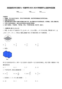 湖北省武汉市江岸区七一华源中学2023-2024学年数学九上期末考试试题含答案