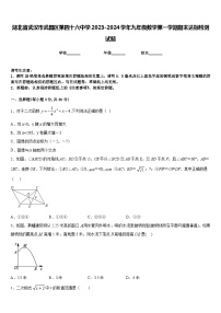 湖北省武汉市武昌区第四十六中学2023-2024学年九年级数学第一学期期末达标检测试题含答案