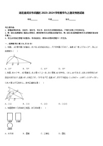 湖北省武汉市武昌区2023-2024学年数学九上期末预测试题含答案