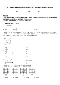 湖北省黄冈市黄冈中学2023-2024学年九年级数学第一学期期末考试试题含答案