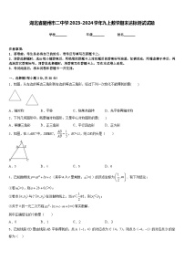 湖北省随州市二中学2023-2024学年九上数学期末达标测试试题含答案