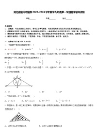 湖北省随州市随县2023-2024学年数学九年级第一学期期末联考试题含答案