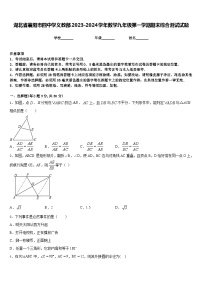 湖北省襄阳市四中学义教部2023-2024学年数学九年级第一学期期末综合测试试题含答案