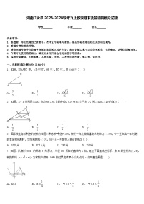 湖南江永县2023-2024学年九上数学期末质量检测模拟试题含答案