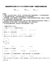 湖南省郴州市汝城县2023-2024学年数学九年级第一学期期末经典模拟试题含答案