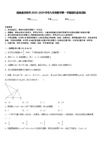 湖南省武冈市2023-2024学年九年级数学第一学期期末监测试题含答案