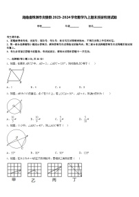 湖南省株洲市炎陵县2023-2024学年数学九上期末质量检测试题含答案